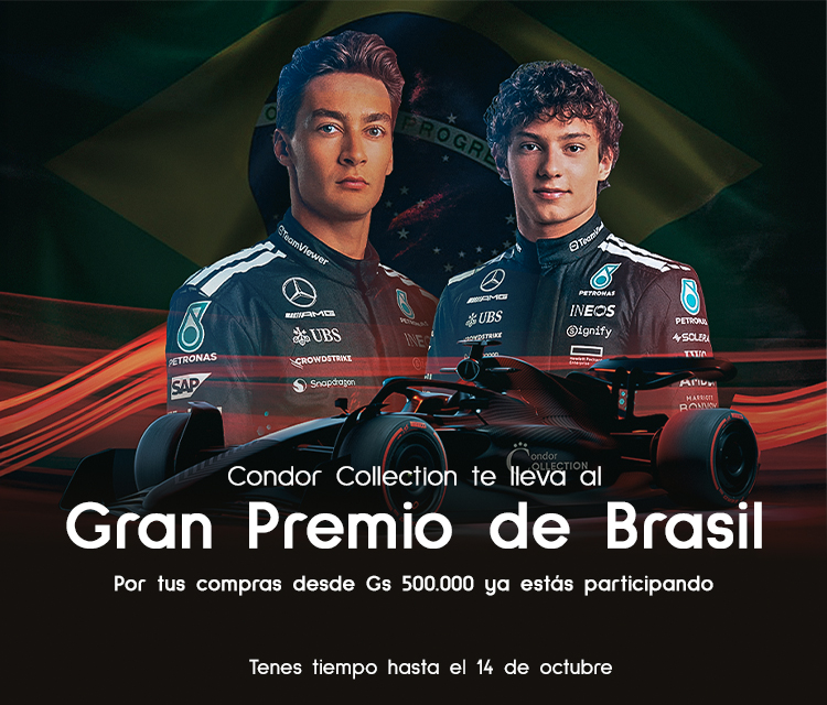 Imagen del carrusel móvil